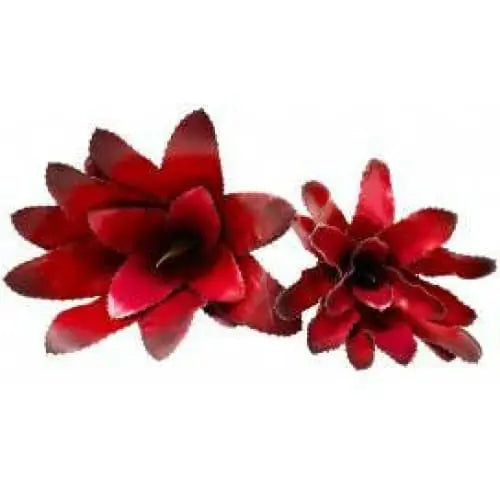 Realistic Bromeliads Plants for Terrarium, Aquarium and Habitat Decoration