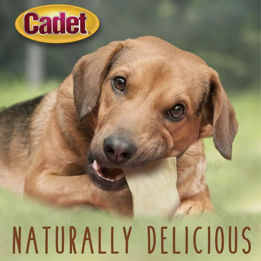 Cadet Premium Quality Beef Hide Chew Chips for Dogs - 1 Pound Bag of Delicious Canine Treats