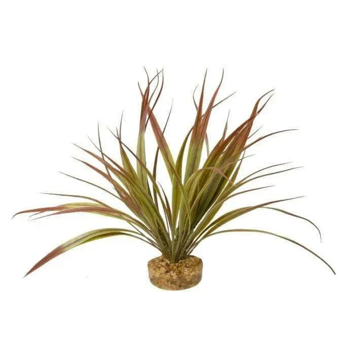 Blue Ribbon Colorful Gravel Base Aquarium and Terrarium Plant - Amazonia Plant Plum, 10 - inch