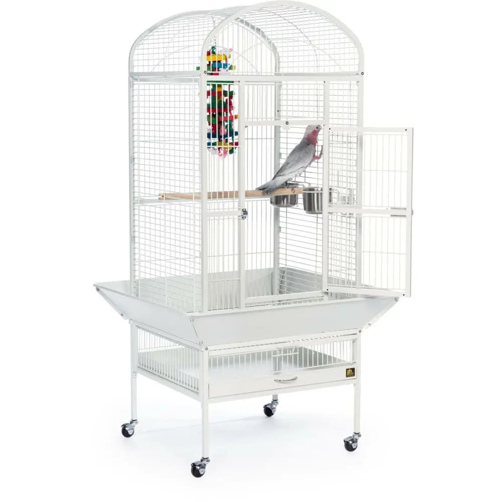 Prevue Pet Products Medium-Sized Dome Top Bird Cage in Chalk White Color