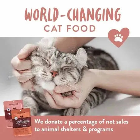 Portland Pet Food Co. Luke’s Tasty Chicken & Pumpkin Wet Cat Food