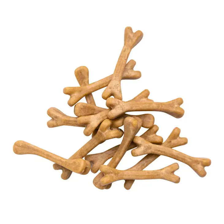 Health Extension Premium Probiotic Dental Bones for Dogs