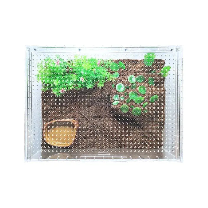 Extra Large Flat and Transparent Acrylic Enclosure for Reptile Breeding - Ideal Terrarium Cage Tank