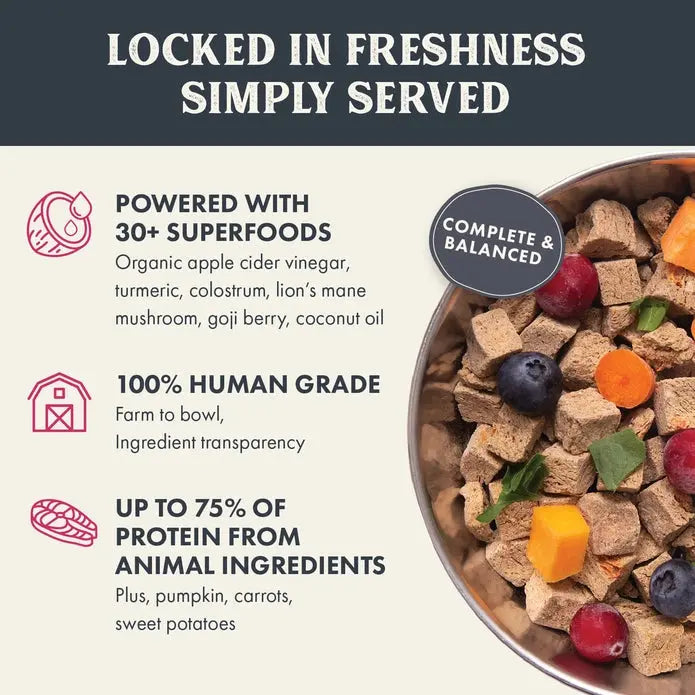 Healthy Dog Food - Health Extension Gently Air Dried Salmon Recipe, 2 Pound Bag