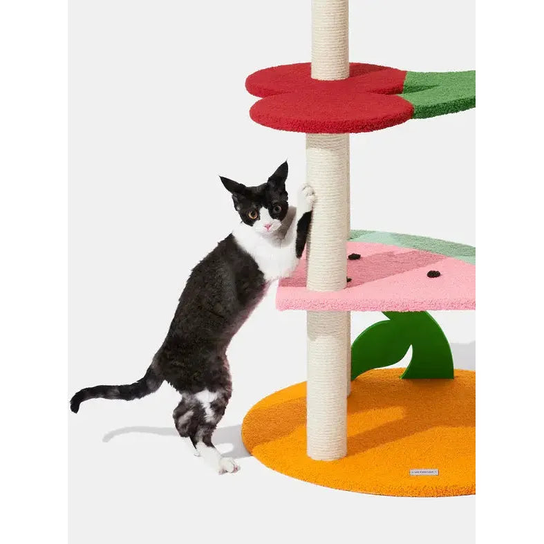 Vetreska Cat Climber with Fruity-Inspired Platforms for Feline Fun