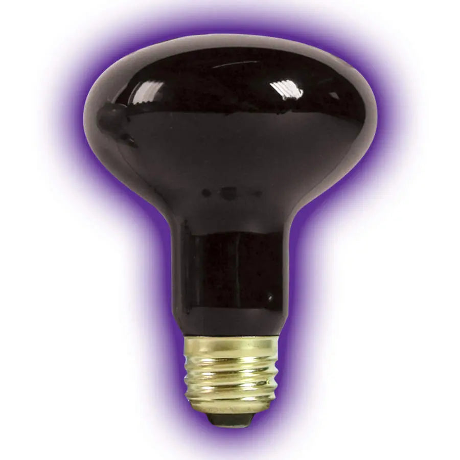 Zilla High - Performance Incandescent Spot Bulb for Reptile Terrariums