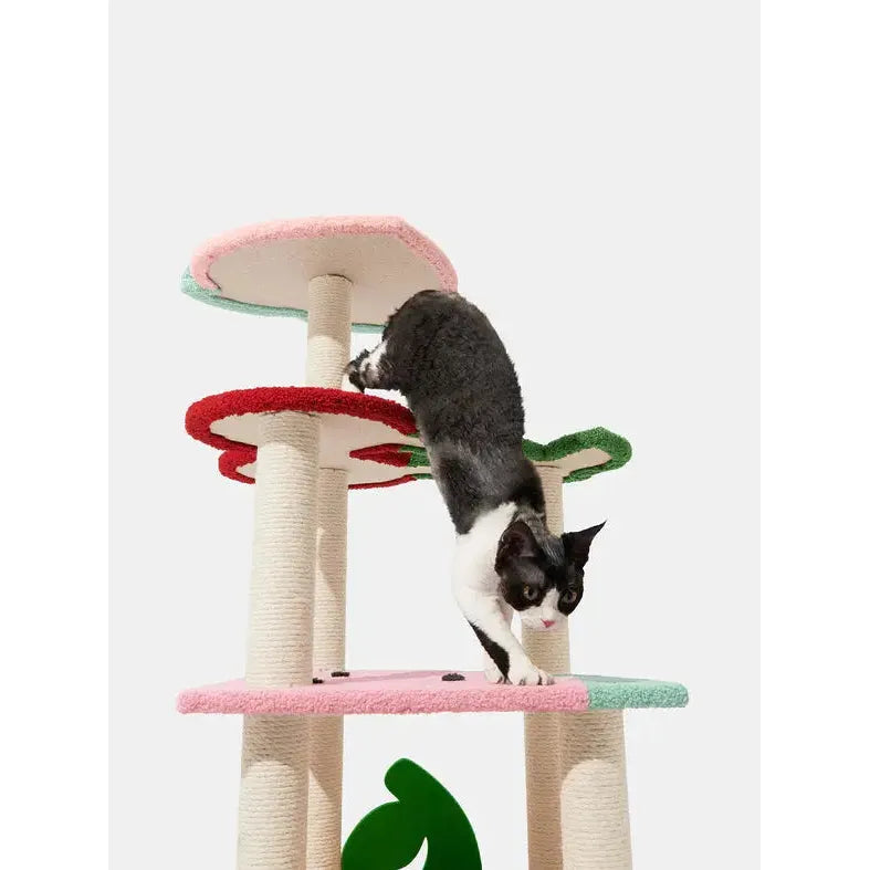 Vetreska Cat Climber with Fruity-Inspired Platforms for Feline Fun