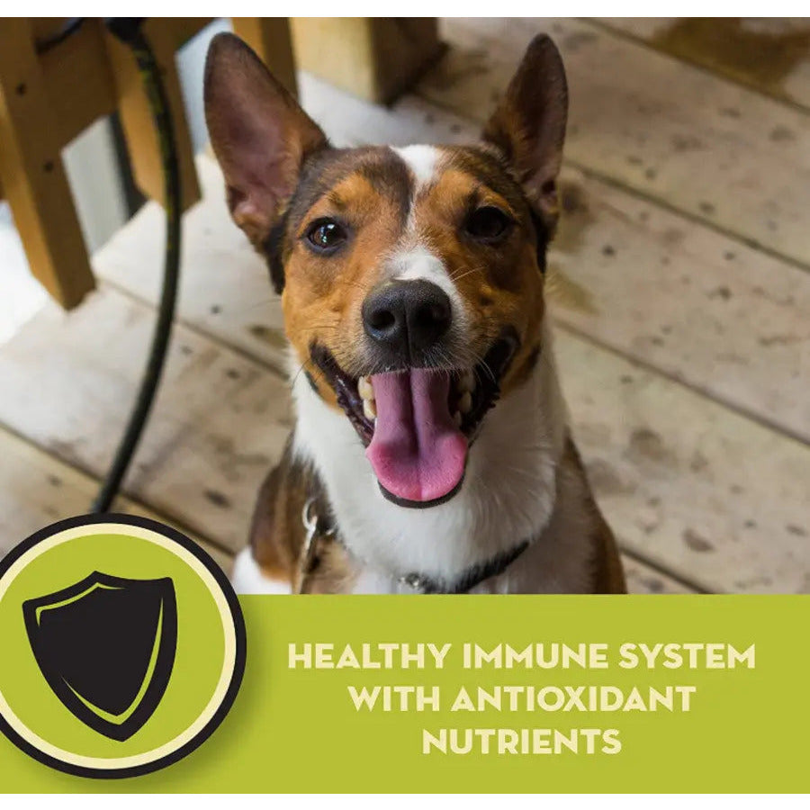AvoDerm Natural Premium Chicken Meal and Brown Rice Dry Puppy Food
