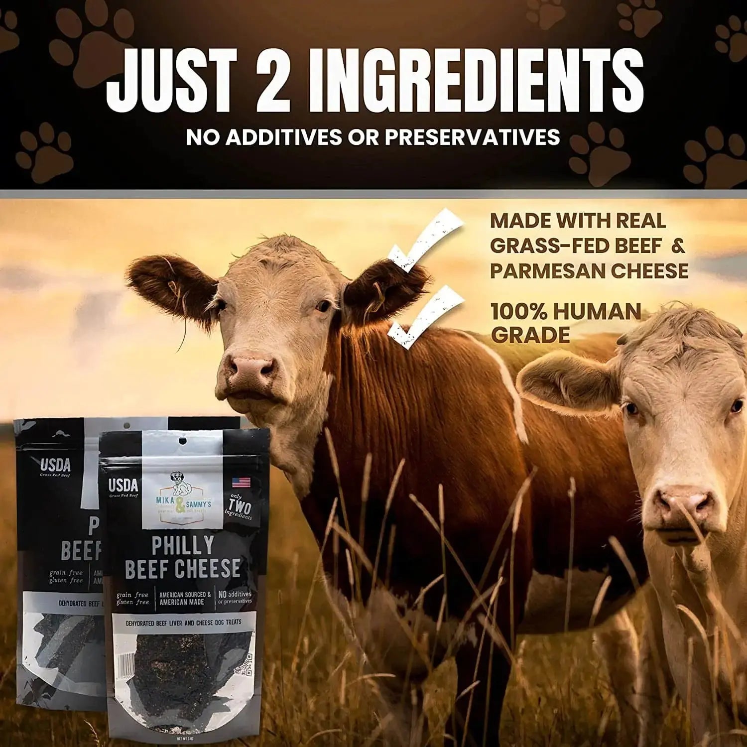 Mika & Sammy’s Premium Dehydrated Dog Treats - 5oz Philly-Style Beef and Cheese Delight