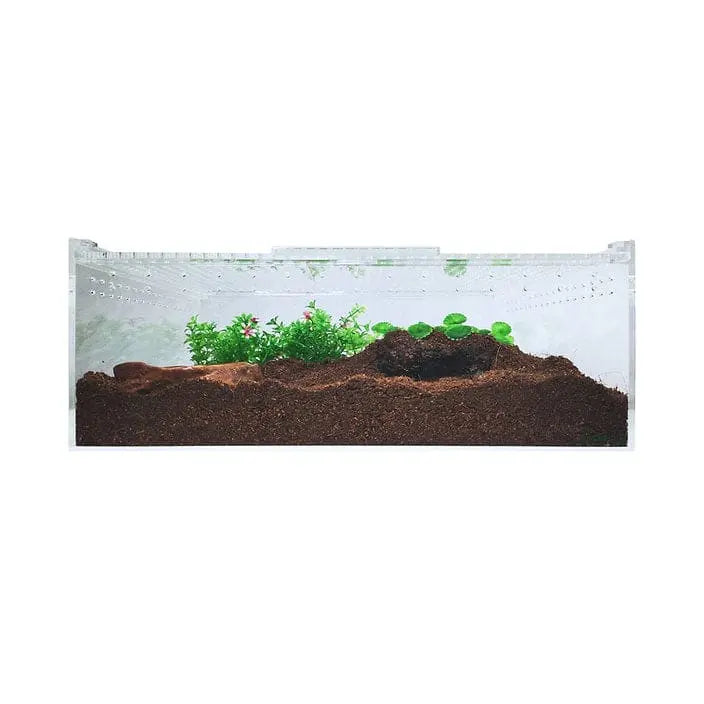 Extra Large Flat and Transparent Acrylic Enclosure for Reptile Breeding - Ideal Terrarium Cage Tank