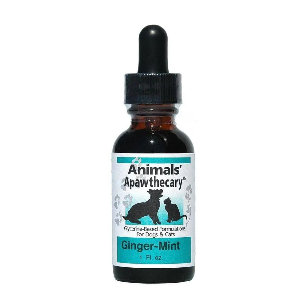 Animal Essentials® Daily Ginger/Mint Digestive Support Formula for Cats and Dogs - 1 Oz Bottle