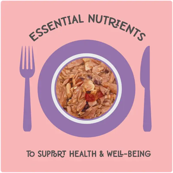 Nala's 2.8oz Love - Flaked Salmon Recipe in Broth Cat Food
