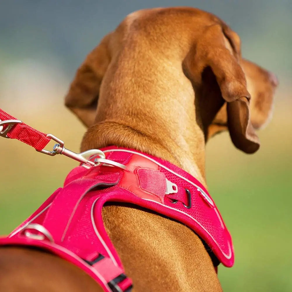 Belka Adjustable Step-in Reflective Harness for Big Dogs - Choke-Free Design