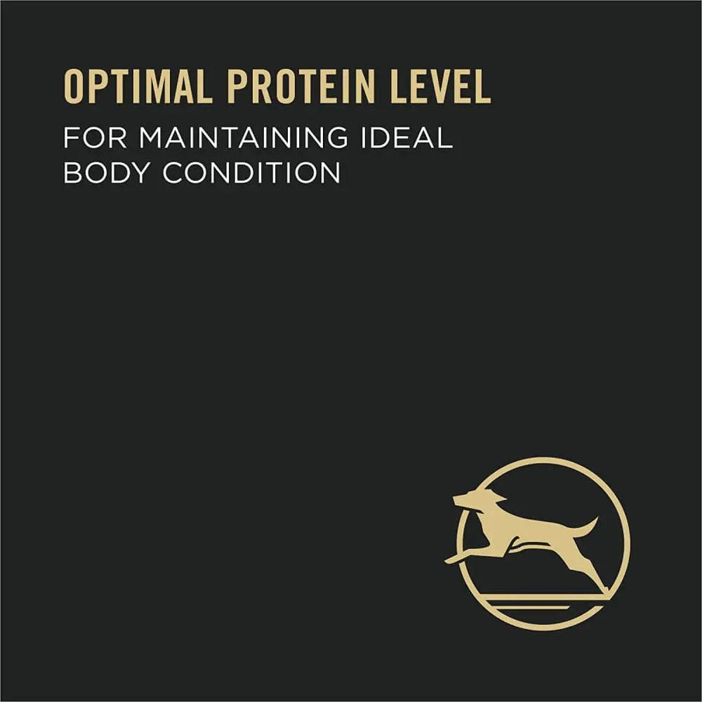 Purina Pro Plan Complete Essentials Classic Adult Wet Dog Food - Beef and Rice Entree, 12 / 13 oz Cans Pack