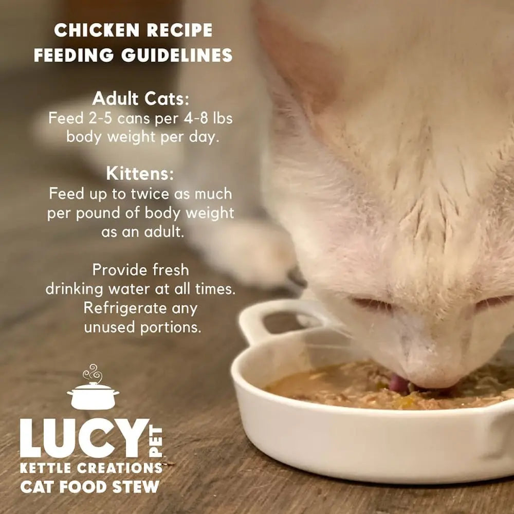 Lucy Pet Products Kettle Creations Gourmet Adult Wet Cat Food Pack of 12 Cans, Each 2.75 Ounces
