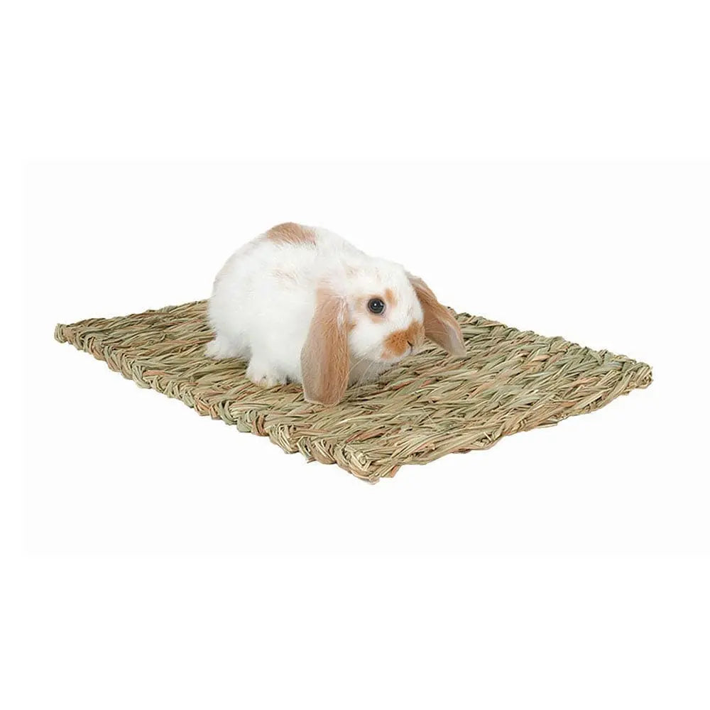 Marshall® All - Natural Woven Grass Mat Ideal for Small Pets' Entertainment