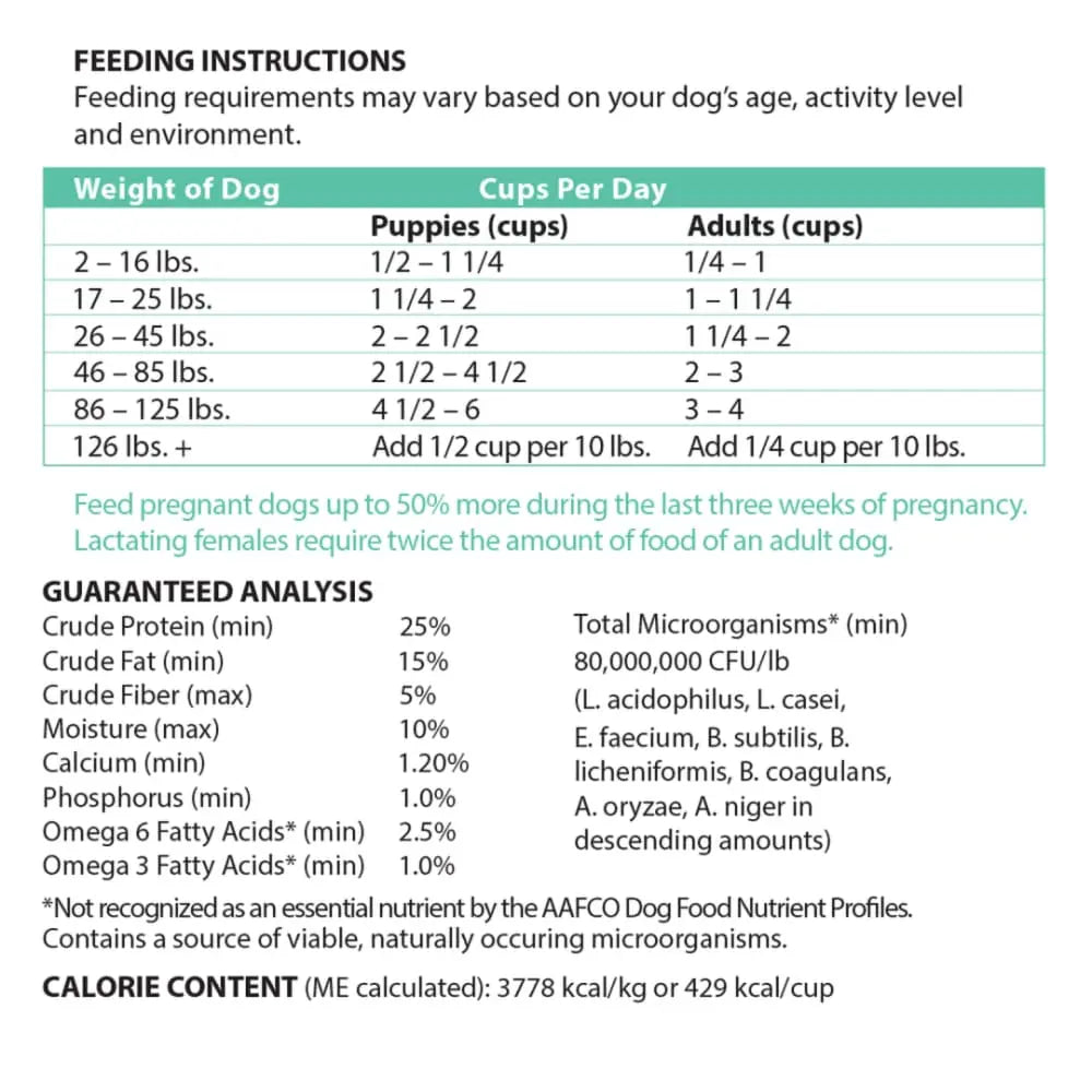 Healthy Grain-Free Salmon Dry Dog Food for Optimal Canine Wellness