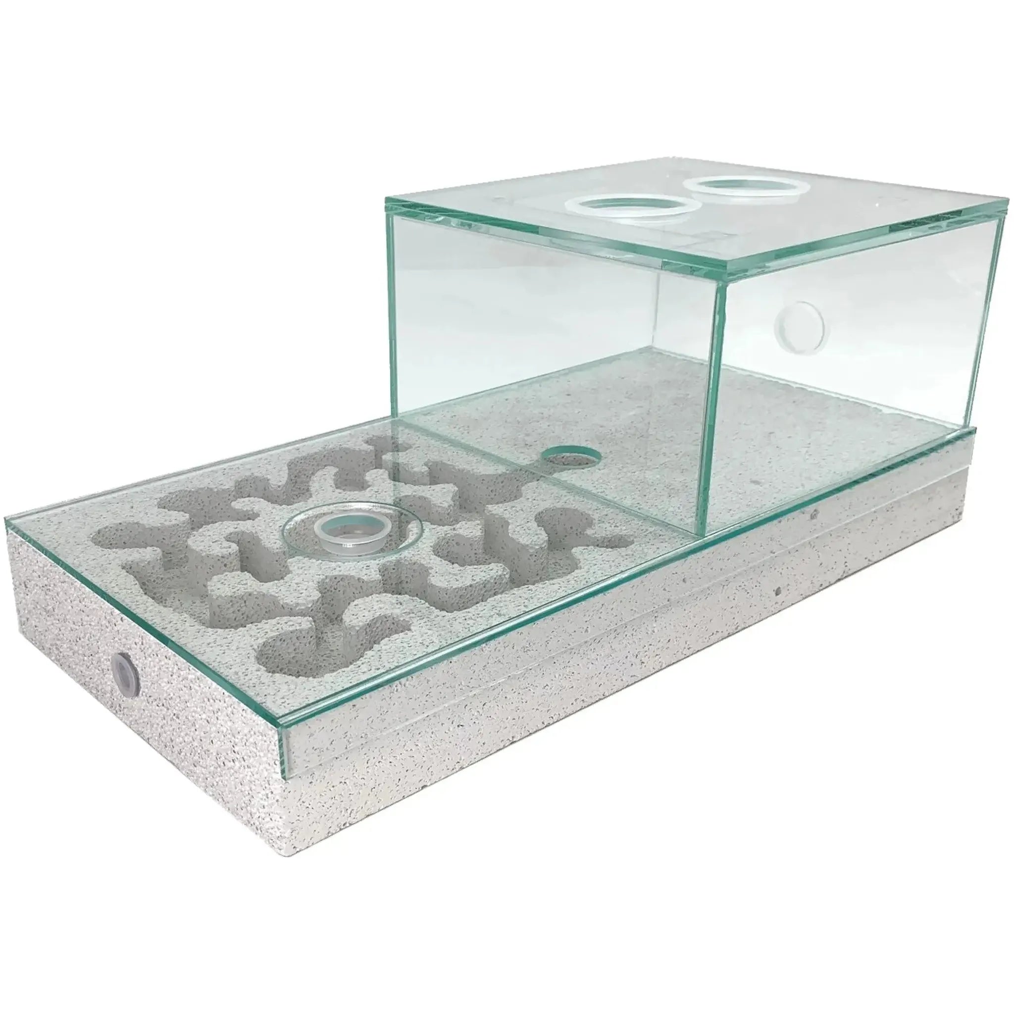 40×20 Ytong Aerated Concrete Ant Nest and Arena Combo Set