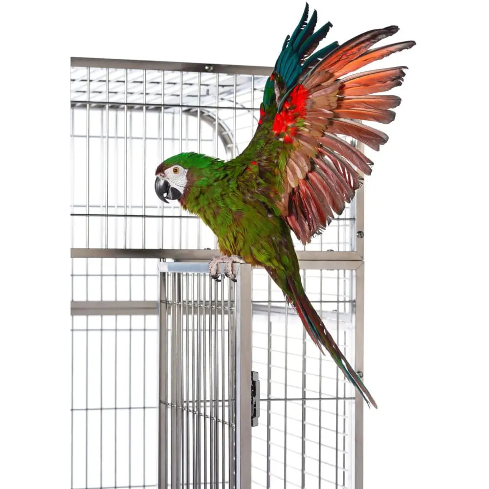 Prevue Pet Products Extra Large Imperial Stainless Steel Bird Cage - Ideal Home for Large Birds