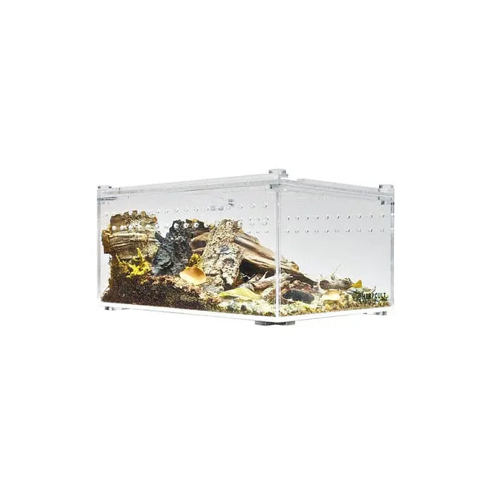 Small Flat Transparent Acrylic Enclosure - Ideal Terrarium Cage for Tarantula and Scorpion Breeding