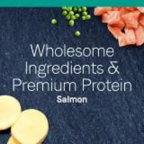 CANIDAE PURE Limited Ingredient Dry Cat Food Formula with Salmon for Sensitive Felines