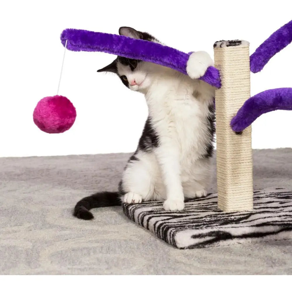 Prevue Pet Products Interactive Bounce and Spring Cat Scratcher Toy
