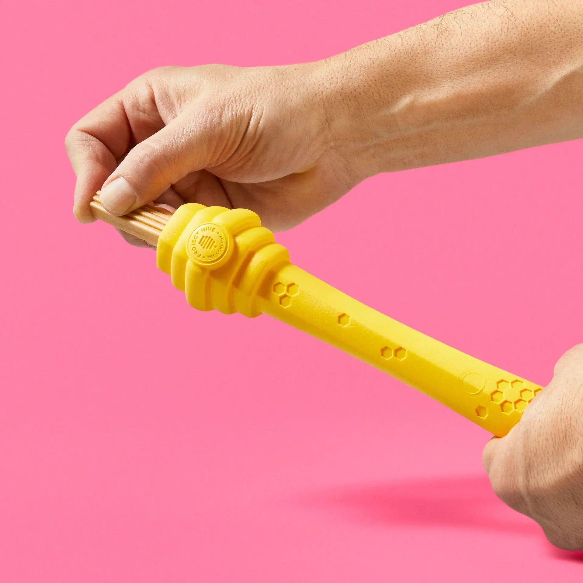 Project Hive Pet Company's Revolutionary Multifunctional Hive Stick Dog Fetch and Chew Toy