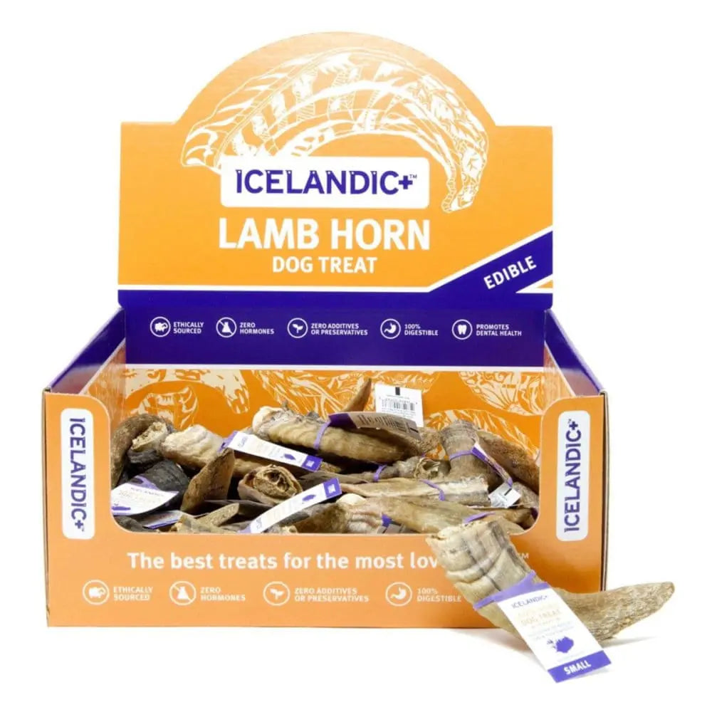 Icelandic Small Lamb Horns with Marrow - 36 ct Display for Dogs