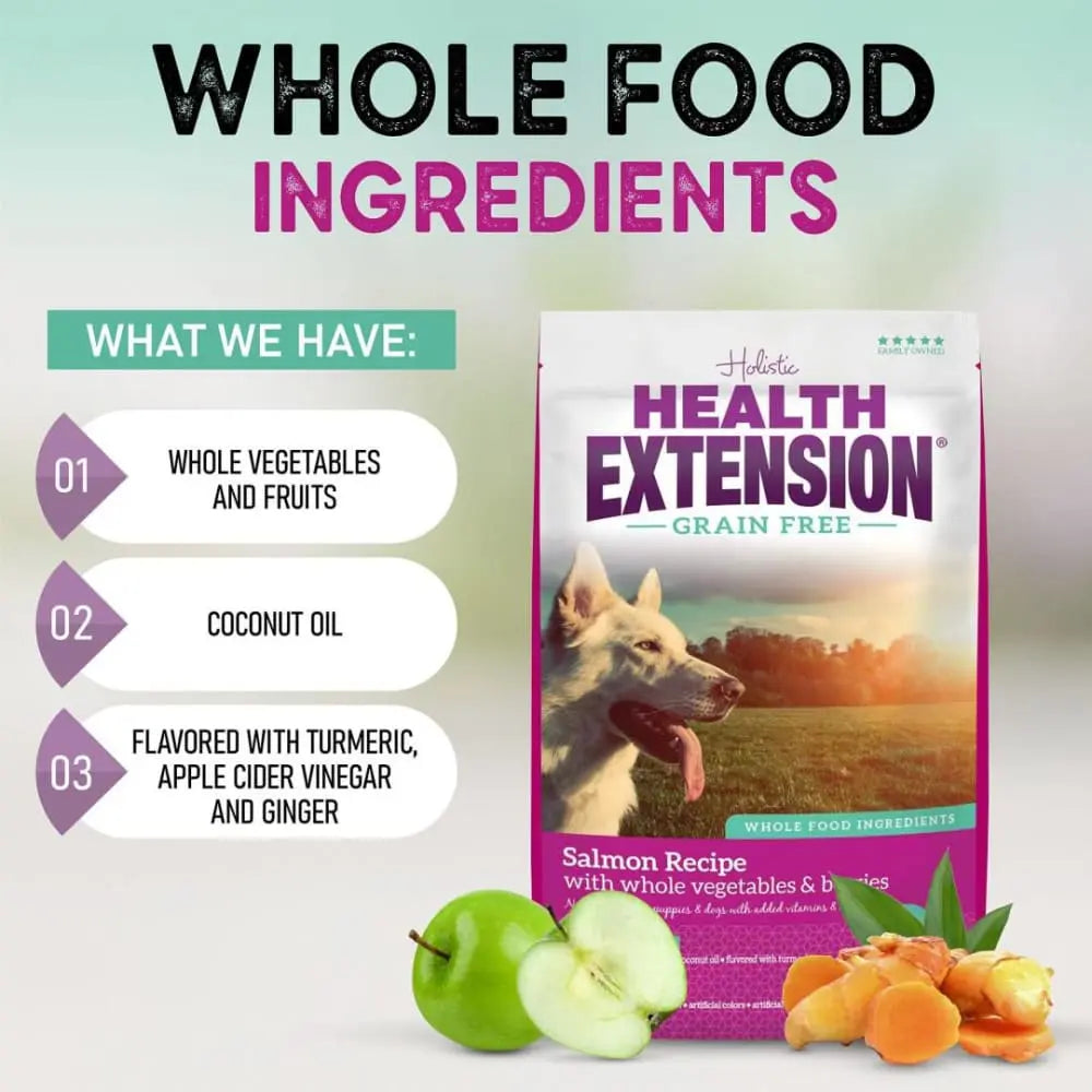 Healthy Grain-Free Salmon Dry Dog Food for Optimal Canine Wellness