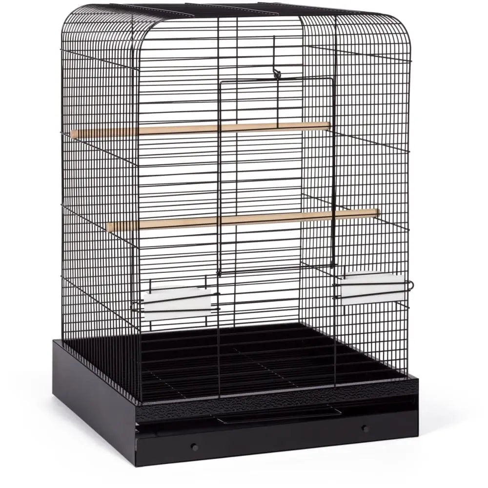 Prevue Pet Products High - Quality Madison Style All - welded Bird Cage for Parakeets, Cockatiels and Conures