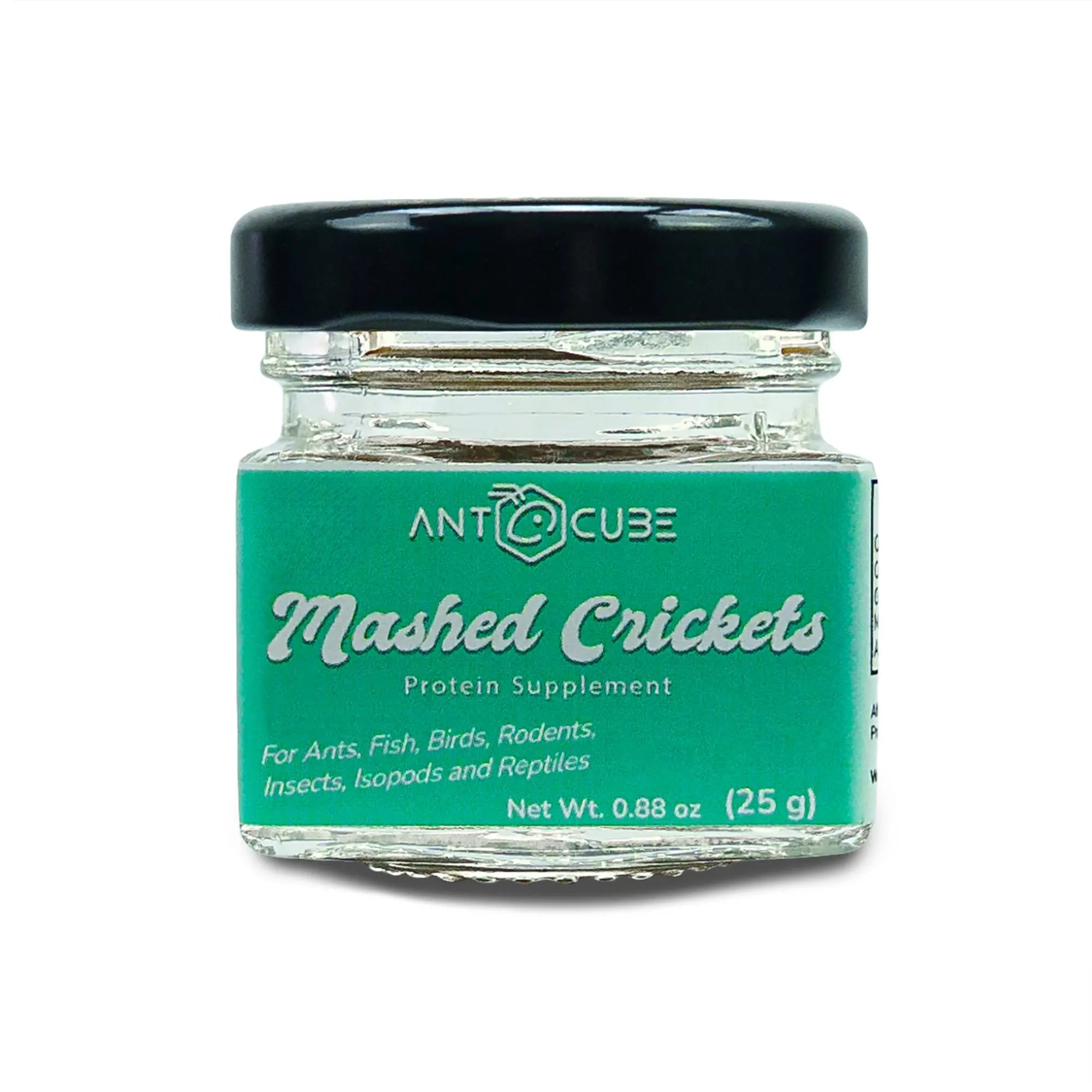 Ants' Protein-rich Mashed Crickets Jam