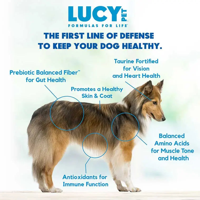 Lucy Pet's Premium L.I.D. Grain-Free Dry Dog Food with Duck, Pumpkin & Quinoa