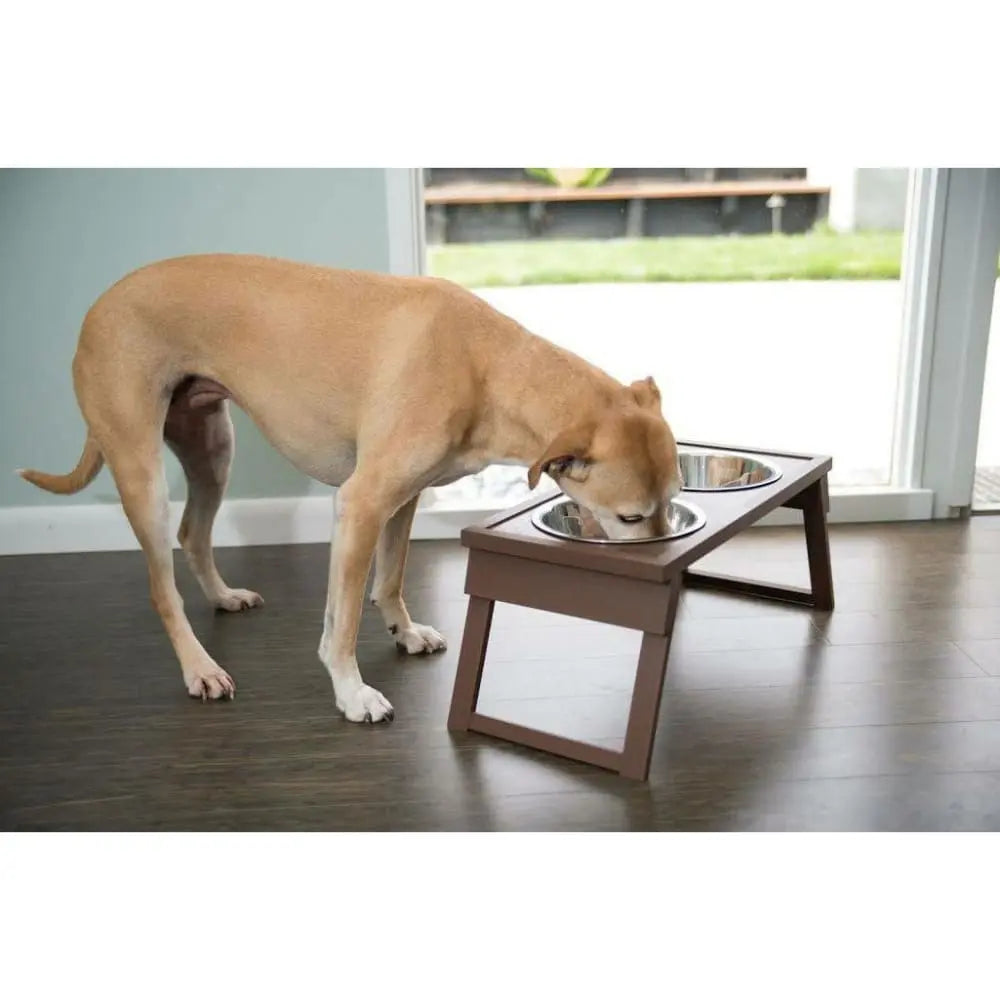 Adjustable Double Diner Cat and Dog Bowl for Home with Height - Adjustable Feature