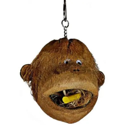 AE Cage Company's Delightful Happy Beaks Coconut Monkey Head Toy for Birds