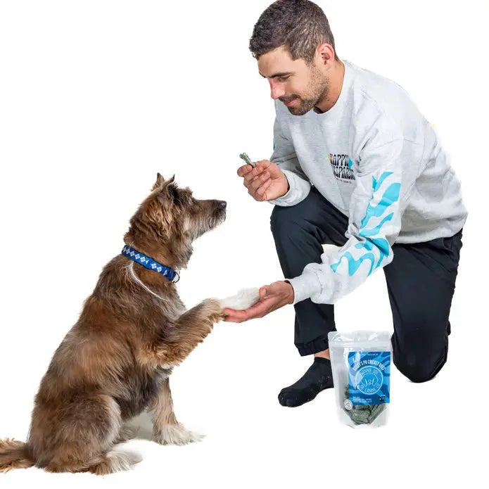 Winnie Lou Bugsy's 5 oz PB Cricket Bites - Nutritious Dog Treats