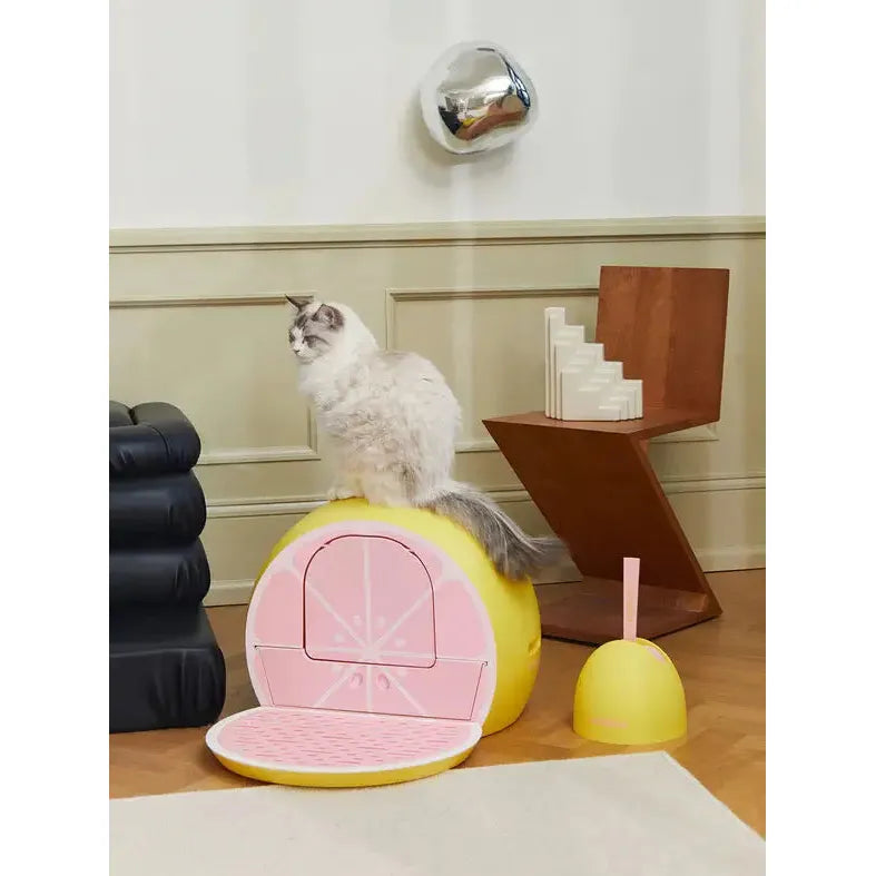 Vetreska Grapefruit-themed Odor Control Kitty Litter Box with Lid and Scoop Set for Feline Companions
