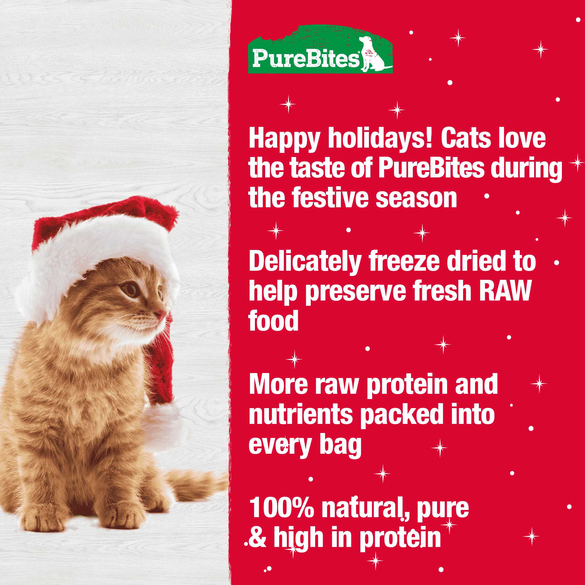 PureBites USA-Sourced 0.81 oz Freeze-Dried Holiday Turkey Cat Treats