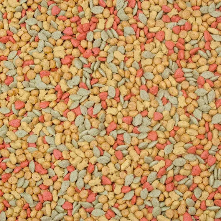 Higgins inTune 2 Lbs Premium Conure & Cockatiel Food