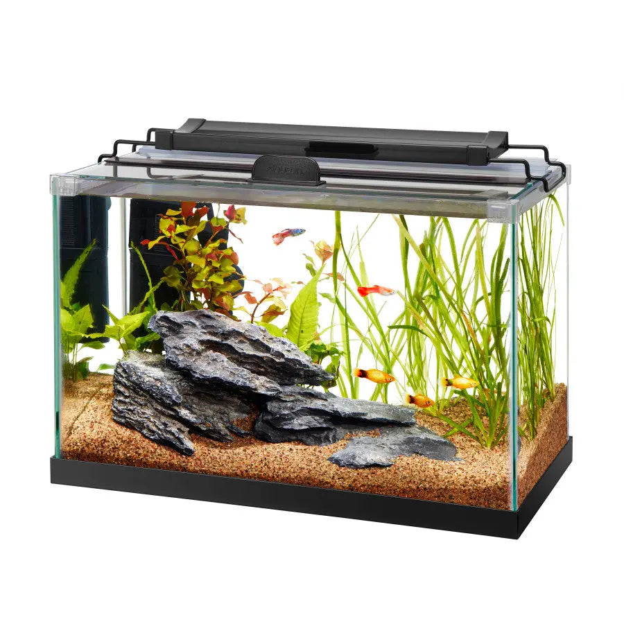 Aqueon Sleek Rimless Rectangular Aquarium with Sturdy Base