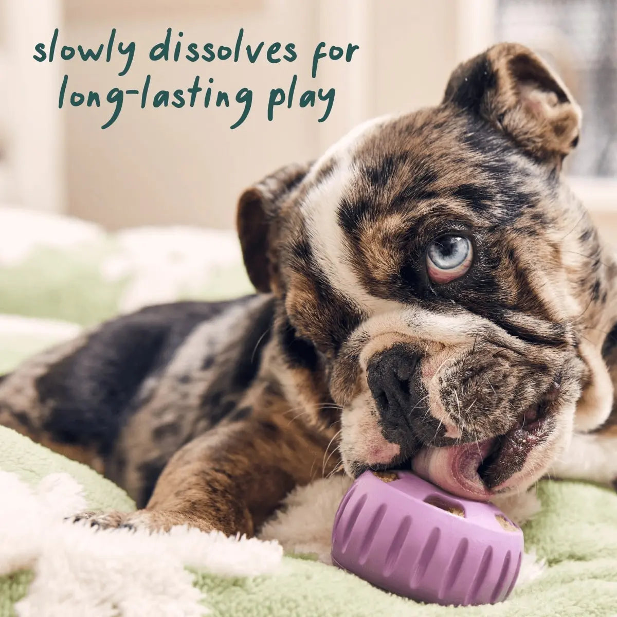 Woof Pet Calming Wellness Frozen Treat Pops - Long - Lasting Pupsicle - Style Treats for Dogs