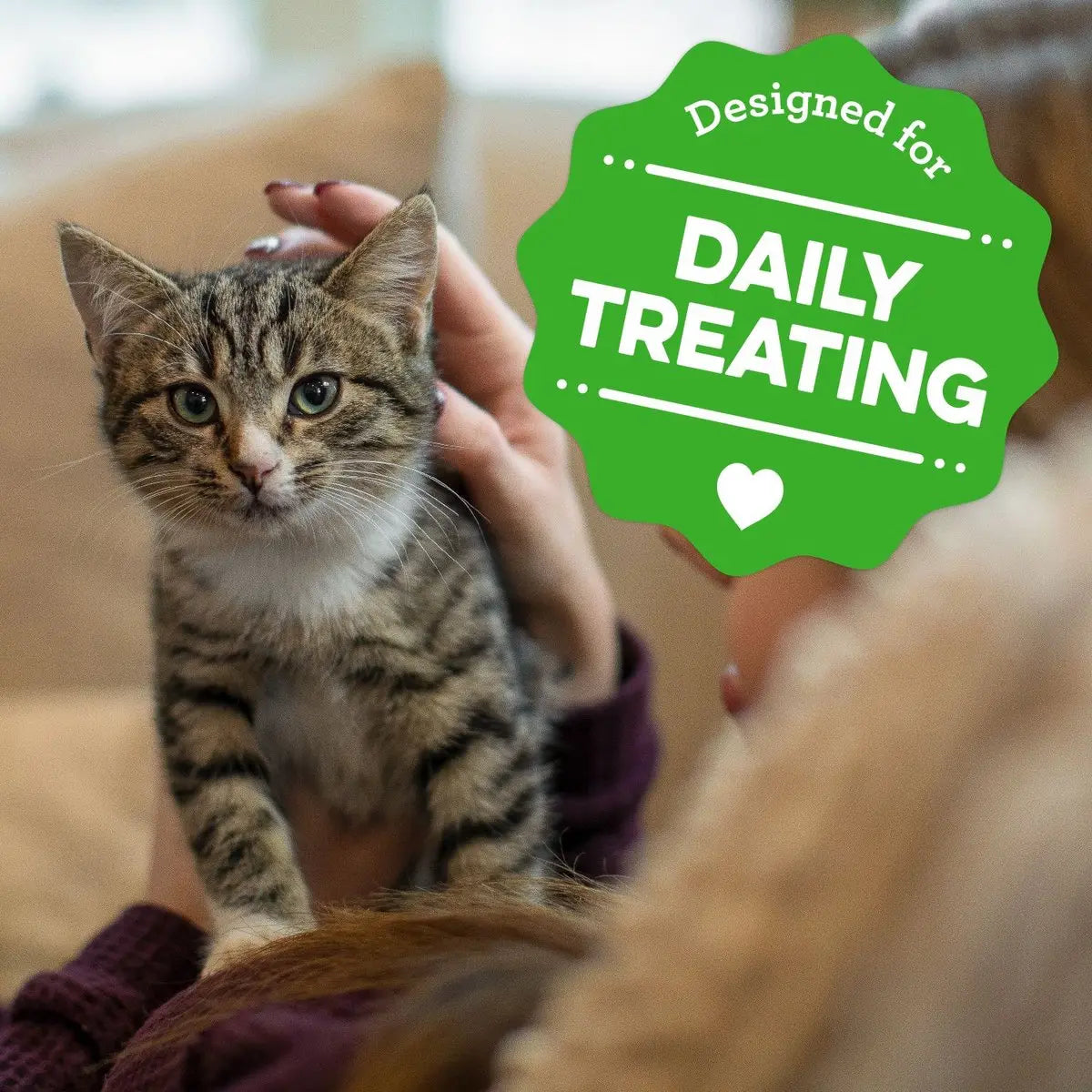 Greenies Feline Smart Bites Chicken Flavored Healthy Treats for Kittens