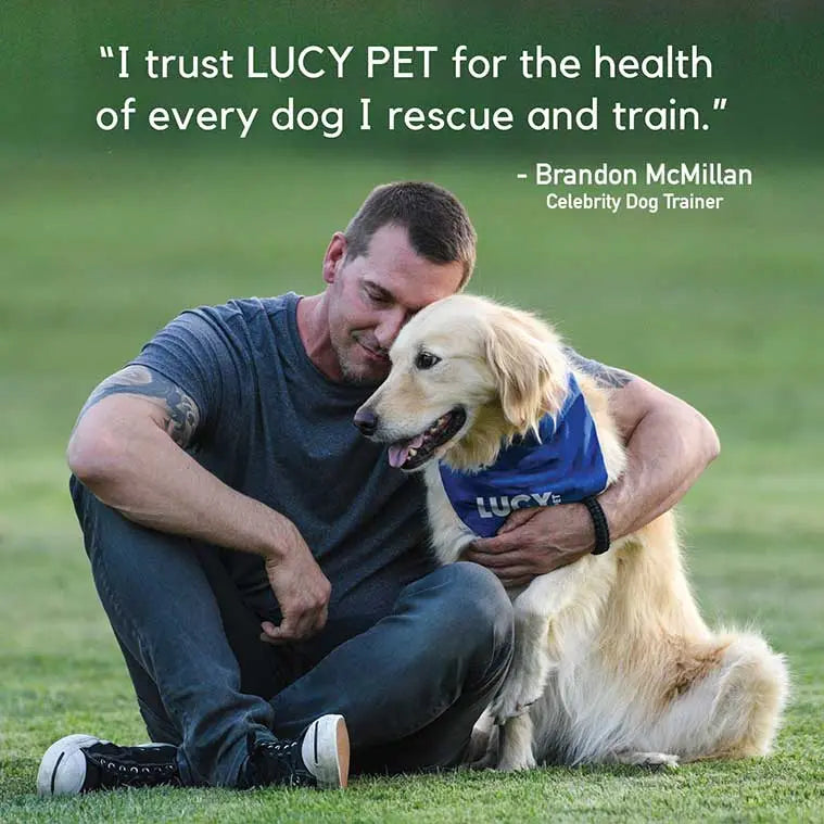 Lucy Pet's Premium L.I.D. Grain-Free Dry Dog Food with Duck, Pumpkin & Quinoa