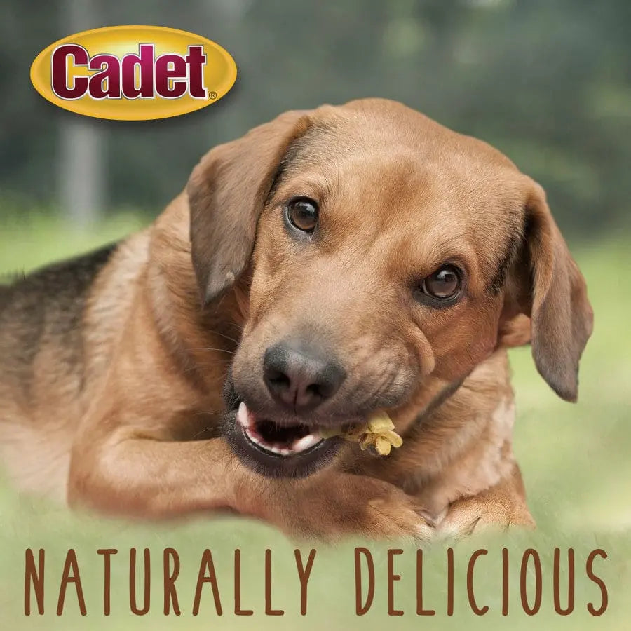 Cadet Gourmet High - Quality Chicken & Apple Wrapped Low - Fat Dog Treats