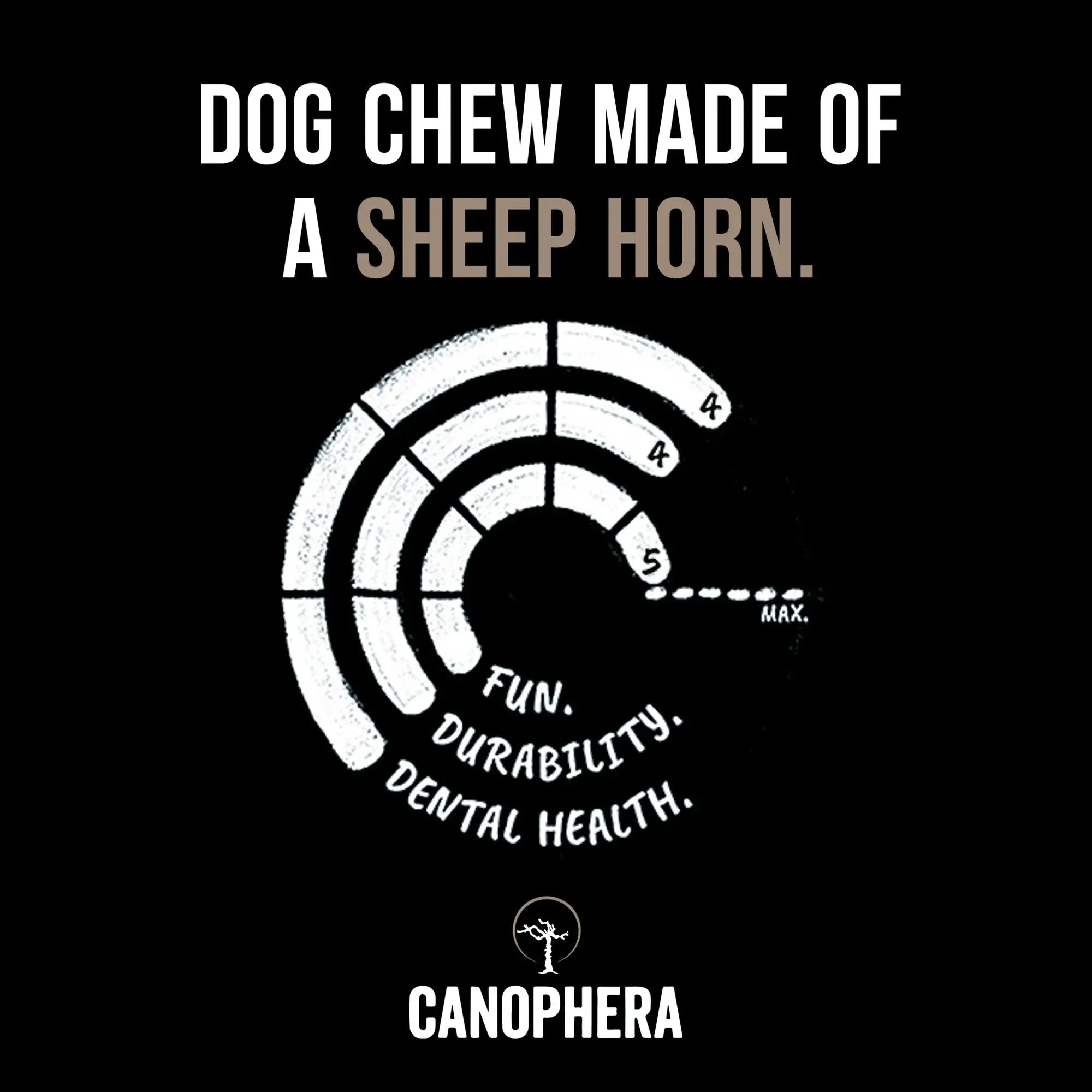 CANOPHERA All - Natural Sheep Horn Chew Toy for Dogs