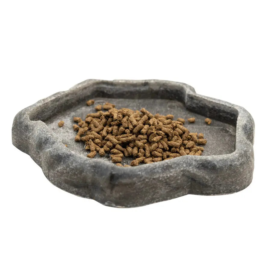 Zoo Med Premium Adult High Fiber Food for Bearded Dragons