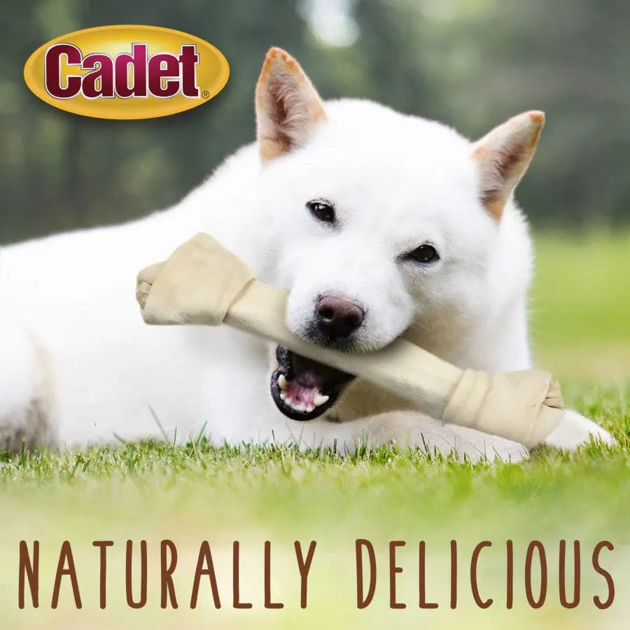 Original Cadet Premium Beef Hide Knotted Dog Chews in the Shape of a Knotted Bone