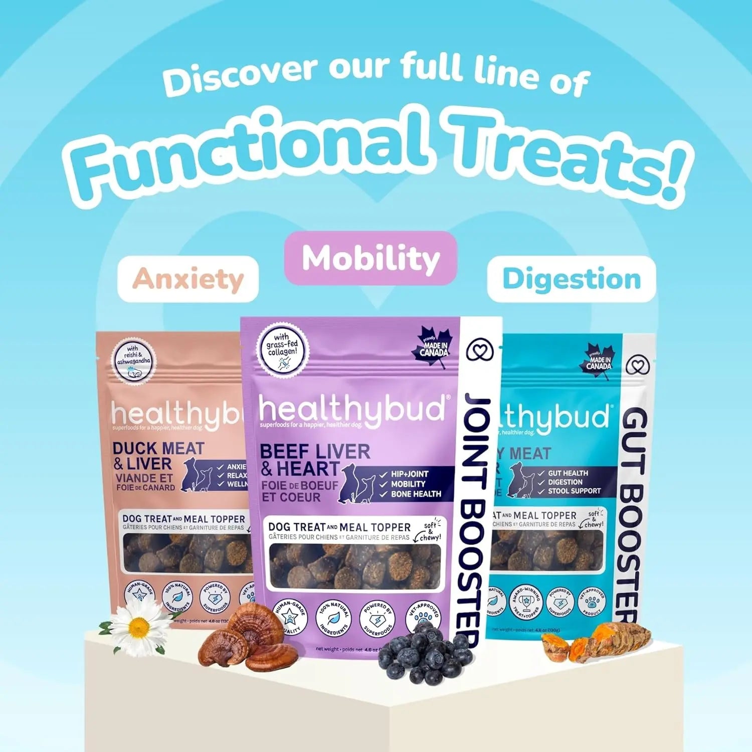 Healthybud Premium Beef-flavored Joint Booster Soft Dog Treats Specially Designed for Senior Dogs