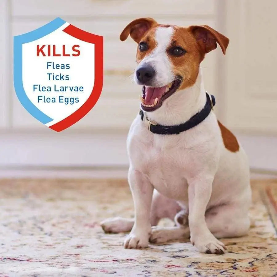 16 oz Adams Carpet Powder with Linalool and Nylar for Flea and Tick Control