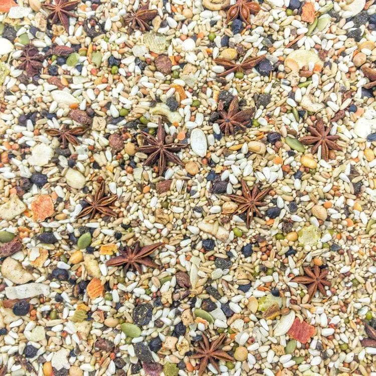 Higgins 3 Lbs Premium Mayan Harvest Food for YuCatan Conure, Cockatiel, Lovebird, Parrotlet