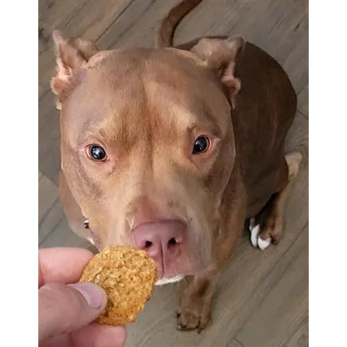 Poochie Butter Peanut Butter & Blueberry Tasty Soft Chew Treats